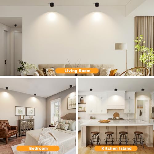LED Ceiling Spotlight Indoor CRI 97+ Modern Cylinder Light Ceiling Mount - color: Black, size: 1 Pack – 3000K Warm White