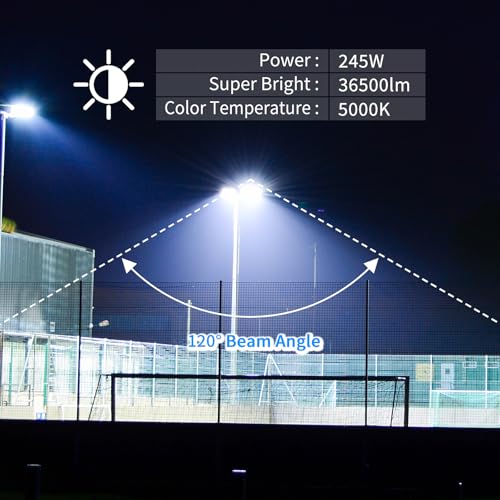 36500Lm 245W Led Stadium Outdoor Flood Light Area Lighting for Sport