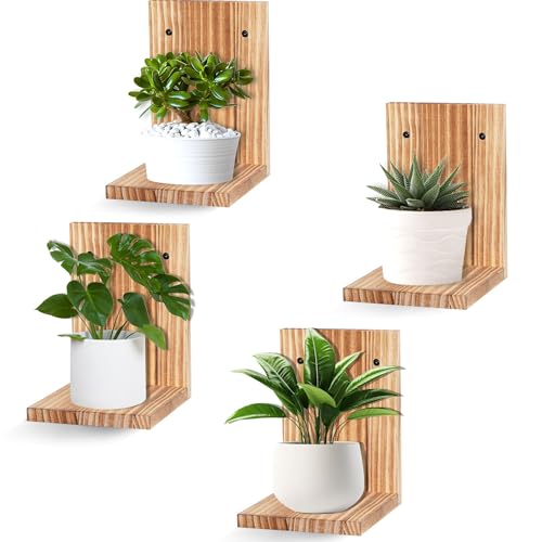 Small Wall Shelf Modern,Wooden Mini Floating Shelves,Indoor Wall Mounted Plants Shelf L Shaped,Midcentury Display Decorative Holder for Gallery Living Room Bedroom Porch,Pine,4 Pack(Carbonized Brown） - color: Carbonized Brown, size: Set of 4