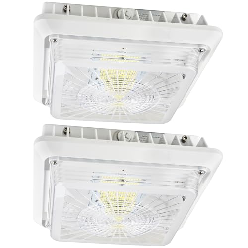 55W LED Parking Garage Canopy Light, 30W/40W/55W Selectable, 3CCT Dimmable - size: 2-Pack