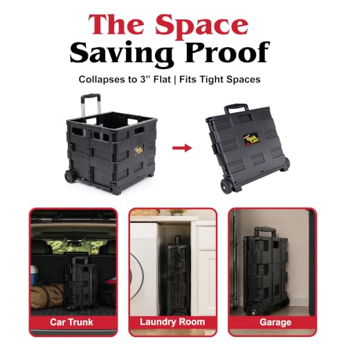dbest Products Quik Cart Pro Collapsible Rolling Crate on Wheels - Black - color: Black, style: Pro