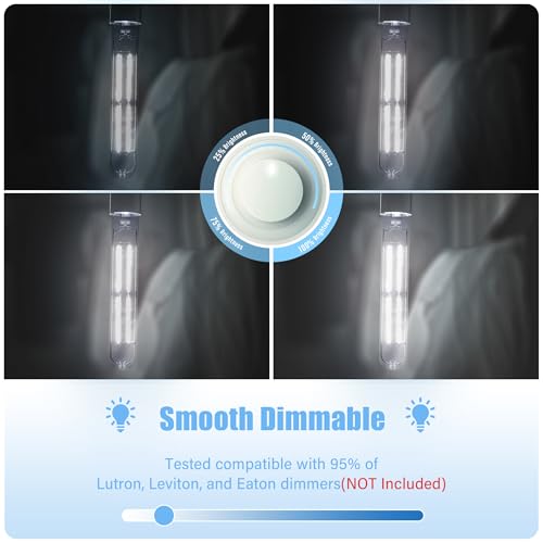 8.9IN LED Light Bulbs E26 Base, 6W 800LM 5000K Daylight White T10 T9 Vintage Edison Bulbs Dimmable, AC 120V Equal 80 Watt Clear Glass Long Tubular Filament Bulb, ETL Certified - 4Pack - size: 9 Inch 6W (4 Count)