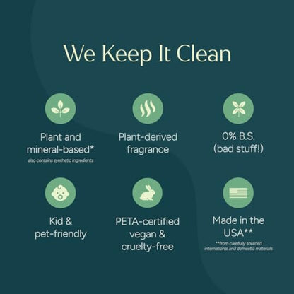 Puracy All Purpose Cleaner Spray – Plant-Powered Multi-Surface Cleaner - Cleaning Spray Solution As Seen on TikTok (Green Tea & Lime, 16 fl oz, 3 Pack) - size: 16 fl oz (Pack of 3)