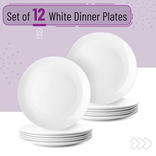 BTaT- White Dinner Plates, 10.5 inch, Set of 12, Restaurant Dishes, White Porcelain Dinner Plates - color: White, size: 10.5 inch, Set of 12