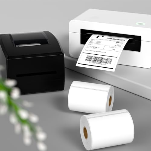 FungLam 4"X6" Thermal Shipping Labels, 5000 Labels, 20 Rolls, Compatible with Rollo, Munbyn, iDPRT Thermal Printers - size: 20 Rolls