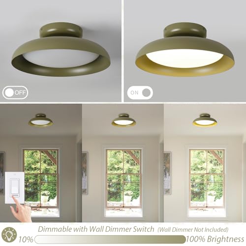 BISAMIYA Dimmable LED 15.7 inch Semi Flush Mount Ceiling Light - color: Deep Green