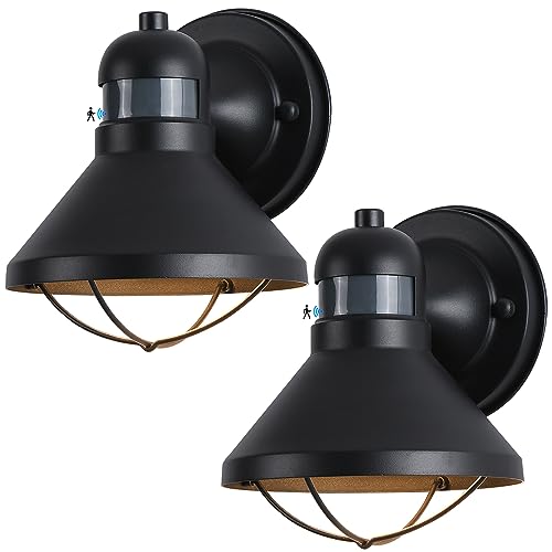 LONEDRUID 2 Pack Dusk to Dawn Motion Sensor Outdoor LED Wall Light Fixture - color: Black