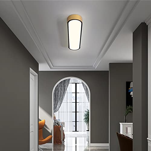 Tioolo Dimmable LED Ceiling Light, 27.5in Linear Ceiling Light with Remote - color: Black+Gold/36W