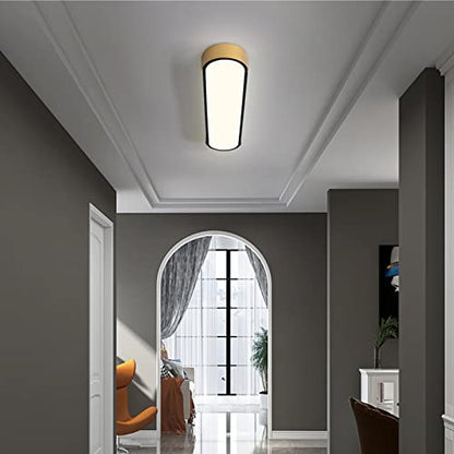 Tioolo Dimmable LED Ceiling Light, 27.5in Linear Ceiling Light with Remote - color: Black+Gold/36W