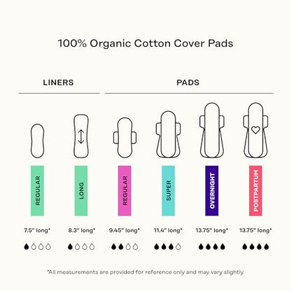 The Honey Pot Company - Herbal Sanitary Pads for Women - Regular Flow w/Wings - Infused w/Essential Oils for Cooling Effect & Organic Cotton Cover - Feminine Care - 20 ct (Pack of 3) - size: 20 Count (Pack of 3), style: Herbal Regular Flow