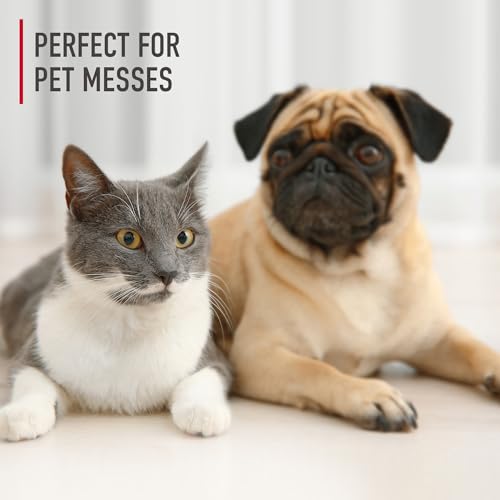 Hoover Pet Carpet Cleaner Solution, 64 oz., Tropical Breeze Scent - style: 64 oz Carpet Solution