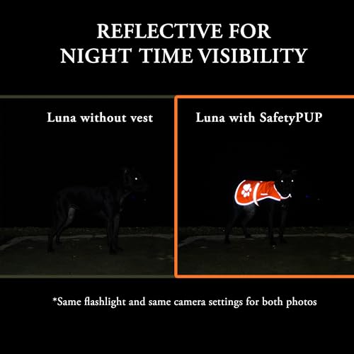 Blaze Orange Dog Vest. Reflective High Visibility in Hunting & Wooded Areas - size: Medium