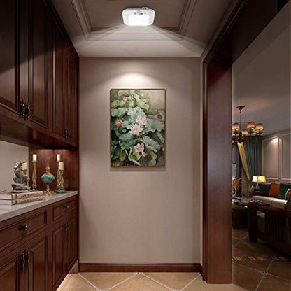 Battery Operated Ceiling Light, Motion Sensor Light Indoor - color: 6000K