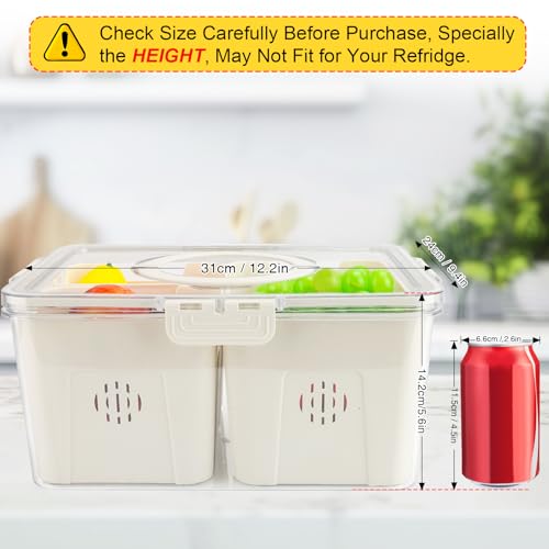Fruit Storage Containers for Fridge with Lid and Handle, Veggie Tray Bins - color: High-4 Colanders