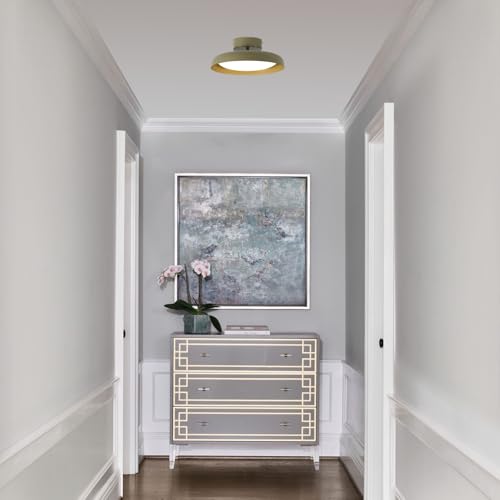 BISAMIYA Modern LED Ceiling Light, Brass Accent, 12.6 inch - color: Green