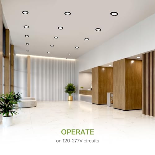 ASD Recessed Lighting 4 Inch, Round Commercial LED Downlight, Mini Panel Baffle Trim, 12W 120-277V, 5 CCT 2700K-5000K, Dimmable LED Ceiling Light Fixture, Black, ETL, 6 Pack - color: 6 Pack, size: 4 Inch Black