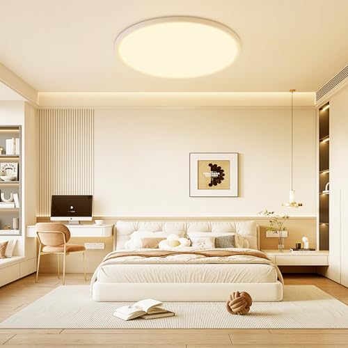 MOONSEA 24-Inch Flush Mount LED Dimmable Ceiling Light Round – 48W - color: White, size: 24 Inch