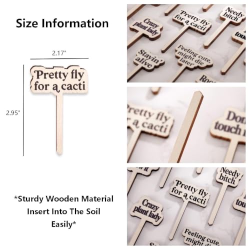 24 Pack Funny Plant Signs Set, Wooden Garden Plants Stakes with Humorous Sayings Gifts for Plant Lovers, Indoor Outdoor Succulents Flower Pots Accessories, Cute Gardening Plants Labels Decor