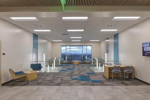 Lithonia Lighting 2x4 LED Troffer Light, BLT Series Low Profile LED Drop in Ceiling Light for Dropped Ceiling with Curved Ribbed Diffuser, 4000 Lumens, 3500K Neutral White - color: 3500K, size: 2 ft x 4 ft, style: Standard