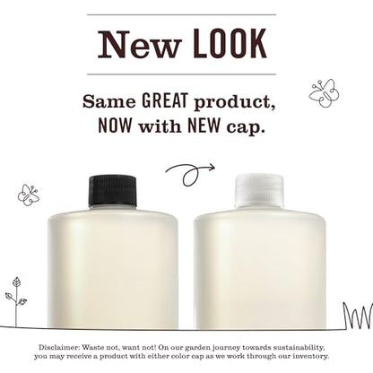 Mrs. MEYER'S CLEAN DAY Multi-Surface Everyday Concentrate, Basil Scent, 32 Fl Oz Bottle (Pack of 6) - size: 32 Fl Oz (Pack of 6)