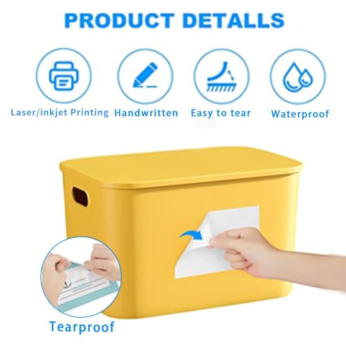 Removable Freezer Labels, Date Label 1x3 Inch Food Storage Stickers, Waterproof Oil Resistant Easy Clean Leaves no Residue 250 Total Per Roll,2 Rolls (Pack of 3) - color: White, size: 1×3 inch-2 rolls (Pack of 3)