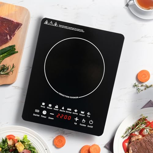 Portable Induction Burner, 110v 750w Electric Induction Burner with Touch Panel, LED Display Screen, 140-464℉ Adjustable Temp & Timer Commercial Hot Plate Cooker