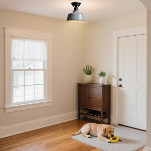 White Macaron Barn Ceiling Light, 10" Indoor Outdoor Fixture - color: White