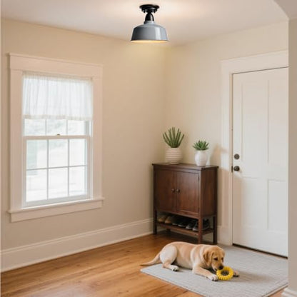White Macaron Barn Ceiling Light, 10" Indoor Outdoor Fixture - color: White