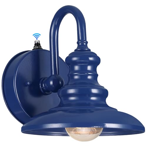 LONEDRUID Dusk to Dawn Sensor Outdoor Gooseneck Barn Light Fixtures Blue - color: Blue