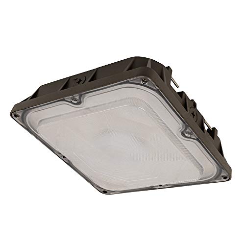Feit Electric 10" LED Outdoor Canopy Light, 45 Watts, 4700 Lumens, 5000K CCT Daylight, UL Listed, Weatherproof, Security Area Light for Gas Station, Garage, Car Port, S10CNPY/850/BZ - color: 5000K Daylight