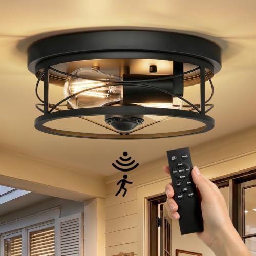 Dusk to Dawn Flush Mount Ceiling Light Fixtures, Motion Sensor for Porch - color: Black, size: 10"