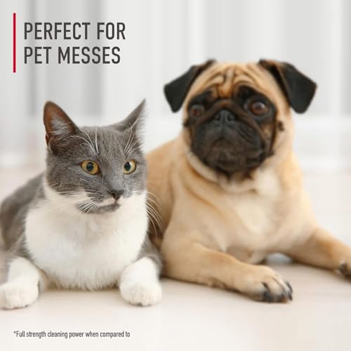 Hoover Pet Portable Spot Cleaner Solution, 32 oz., Tropical Breeze Scent - size: 32 Fl Oz (Pack of 1)