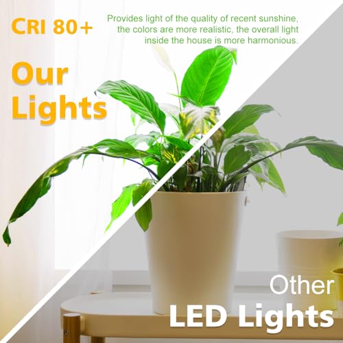 2 Inch LED Downlight, Recessed Lighting Dimmable Ceiling Light, 3W, 2700K Ultra Warm White, CRI80 with LED Driver(35W Halogen Equivalent), Black 8 Pack - color: Ultra Warm White, size: Black/8 Pack
