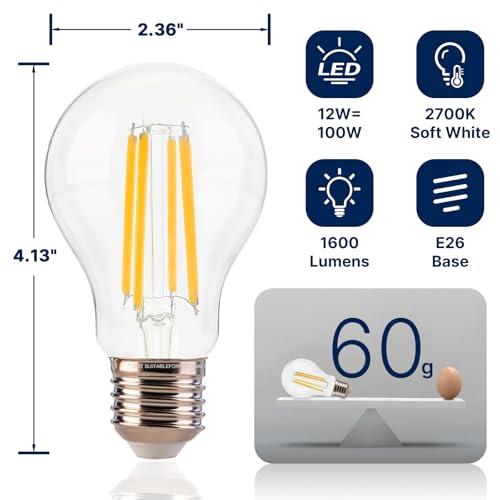 FLSNT 100W Equivalent A19 LED Light Bulbs, Efficient 12W, 1600Lumens, 2700K Soft White, CRI82, E26 Base LED Filament Light Bulbs, Clear Glass, 8Pack, Dimmable - color: 100w 2700k Soft White, size: 8 Count (Pack of 1)