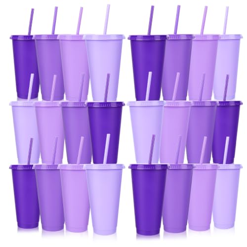24 Pack Plastic Tumblers with Lids and Straws, Reusable Cups with Lids Plastic Colorful Cups for Parties Birthdays, Iced Coffee Cup Cold Drink Cups Bulk Tumblers (24 oz, Gradient Purple Colors) - color: Gradient Purple Colors