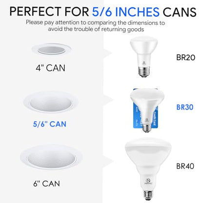 Energetic 6-Pack BR30 Indoor LED Flood Light Bulb, 11W=75W, 5000K Daylight - size: 6 Count (Pack of 1)