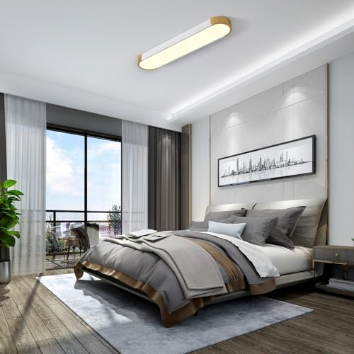 Tioolo Dimmable LED Ceiling Light with Remote 42W Kitchen Lighting Fixtures Ceiling White and Gold Long Ceiling Light Fixture 27.5 Inch Flush Mount Ceiling Lights for Kitchen Dining Room Hallway - color: White+Gold/42W