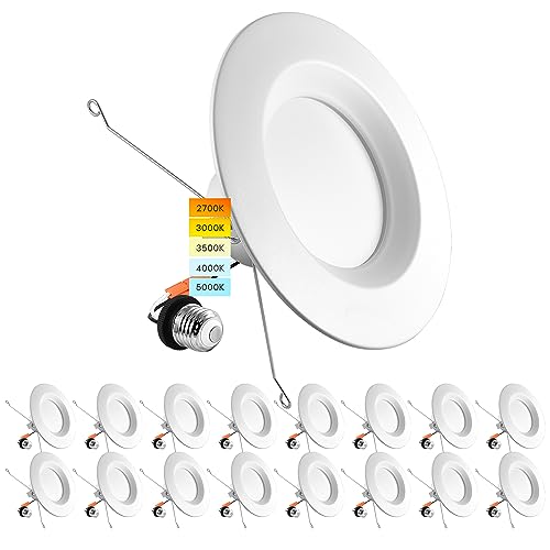 LUXRITE 5/6 Inch LED Recessed Retrofit Downlight, 14W=90W, 1100LM (16 Pack) - size: 16 Count (Pack of 1)