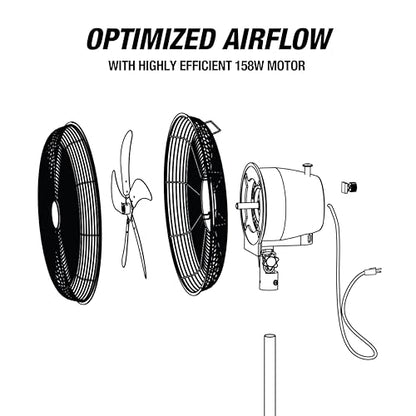 OEMTOOLS OEM24871 20" Oscillating Pedestal Fan, Adjustable Height for Garage, Shop, Gym, Warehouse 4500 CFM Airflow, 3-Speed Enclosed Motor, 5 Aluminum Blades, Dust-Resistant Industrial Purpose - size: 20 Inch