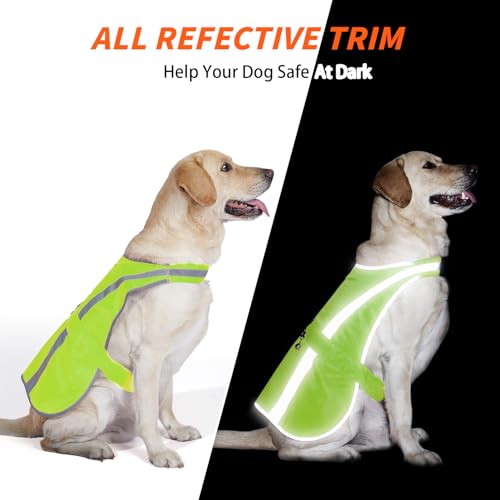 Reflective Dog Vest for Small and Medium Breeds, High Visibility Dog Safety Vest with Removable Bell Keep Safe from Hunting, Training & Cars Accidents(Green,Small) - color: Neon Green, size: S