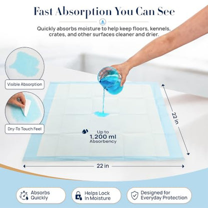 Absorbent Pads, Home Protection Pee Pads, 22 x 22 Inches, 200 Count - size: 200 Count