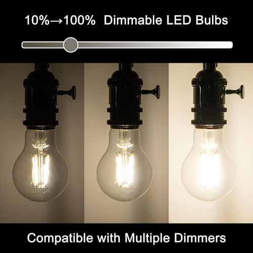 A19 Clear Led Bulbs, E26 Dimmable Edison Bulbs, 5000K Daylight Led Light Bulb, Cool White Edison Bulb, 6w Filament Bulb for Light Fixture 6pack/12Pack - color: Clear 5000k Daylight, size: 6W-6 Pack