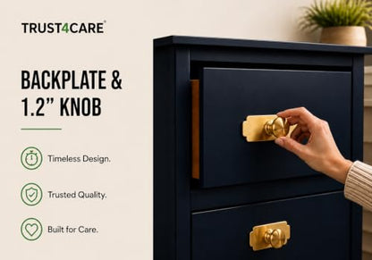 trust4care 4-Pack Gold Rectangle Backplates of Closet Cabinet Knobs - color: Gold