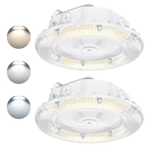 2Pack LED Canopy Light 80W/64W/48W Selectable, ETL Listed 11200LM Canopy LED Lights 4500K 5000K 5700K Adjustable, IP65 Commercial Canopy Gas Station Light with Photocell for Carport Workshop - color: 80w, size: 2 Pack