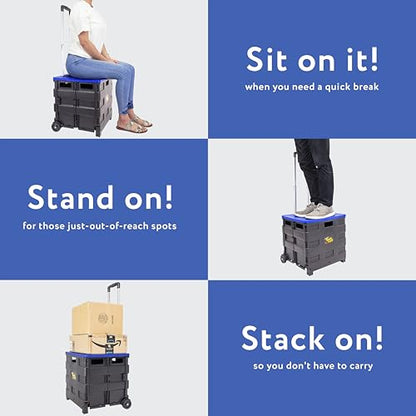 dbest Products Quik Cart Standard Collapsible Rolling Crate - Blue Lid - color: Black, Blue, style: Standard