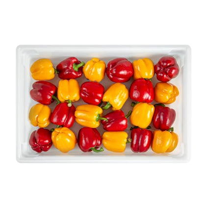 Restaurantware 26 x 18 x 6 In White Plastic Food Storage Box, 1 Count