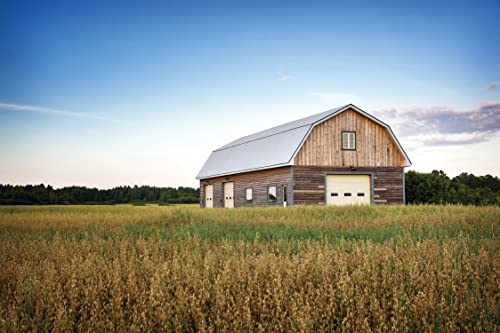 Lithonia Lighting BarnGuard LED Barn Light, Dusk to Dawn Outdoor Lighting, 4000K Cool White, Wall or Pole Mountable Yard Light Fixture, 120V, Aluminum, Dark Bronze - size: 4000 Lumens, style: 4000K Cool White Light