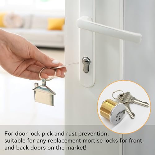 2 Pack Brass Mortise Cylinder Lock with SC Keyway, 1 Inch Length Keyed Standard SC1 Keyway, Standard Commercial Door Replacement Lock Mortise Cylinder for Home Aluminum Door