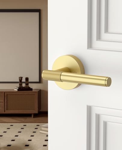 Asidrama 2 Pack Brushed Gold Dummy Interior Door Handles - color: Brushed Gold, size: Dummy, style: 2pack