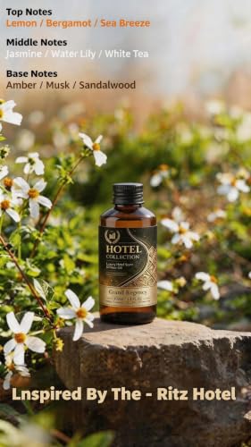 Hotel Diffuser Oil Ritz-C Hotel - Inspired Scent - Large 100 ml - size: 3.4 Fl Oz (Pack of 1)